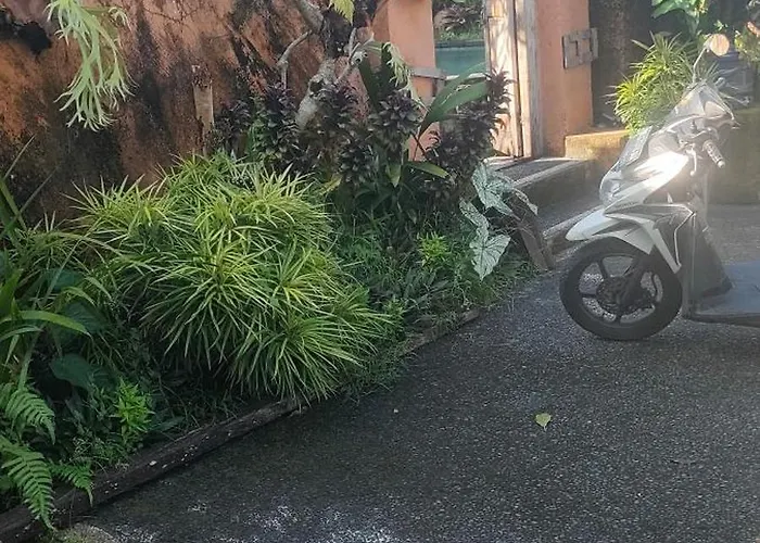 Budha Arjuna Bed & Breakfast Ubud