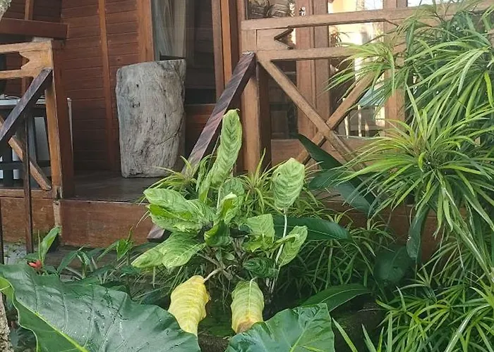 Budha Arjuna *